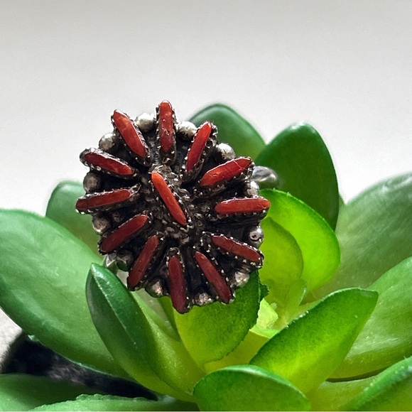 Vintage Southwestern Red Coral Needlepoint Cluster Sterling Silver Ring - Picture 3 of 11